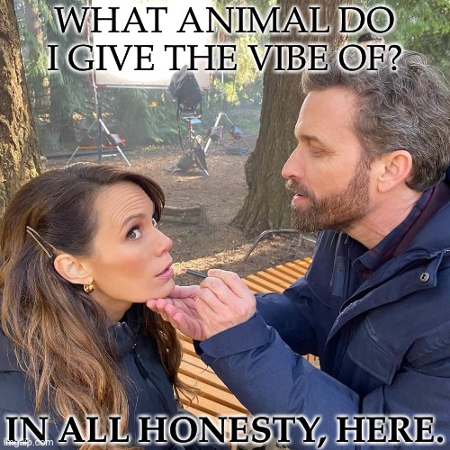 Just Out Of Curiousity, I'm Bored | WHAT ANIMAL DO I GIVE THE VIBE OF? IN ALL HONESTY, HERE. | image tagged in rob and emily,what animal do i give the vibe of,in all honesty here,im bored,lets do this shit | made w/ Imgflip meme maker