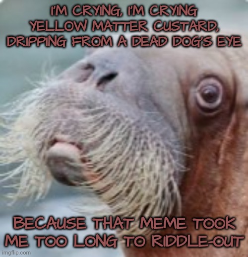 I'M CRYING, I'M CRYING
YELLOW MATTER CUSTARD, DRIPPING FROM A DEAD DOG'S EYE BECAUSE THAT MEME TOOK ME TOO LONG TO RIDDLE-OUT | made w/ Imgflip meme maker