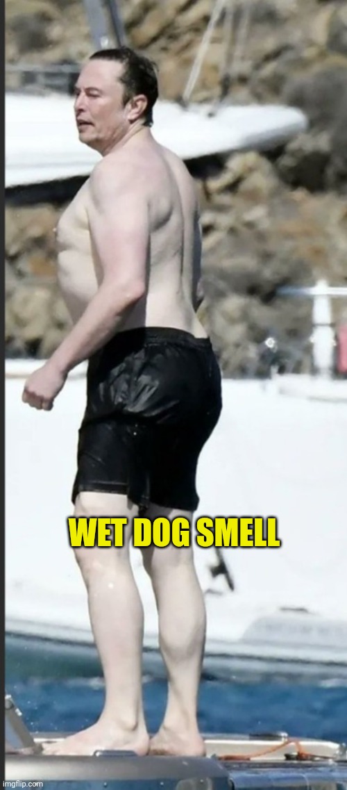 WET DOG SMELL | made w/ Imgflip meme maker