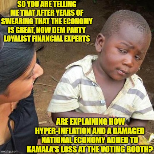 Why yes; yes they are.  Is this really a surprise? | SO YOU ARE TELLING ME THAT AFTER YEARS OF SWEARING THAT THE ECONOMY IS GREAT, NOW DEM PARTY LOYALIST FINANCIAL EXPERTS; ARE EXPLAINING HOW HYPER-INFLATION AND A DAMAGED NATIONAL ECONOMY ADDED TO KAMALA'S LOSS AT THE VOTING BOOTH? | image tagged in third world skeptical kid | made w/ Imgflip meme maker