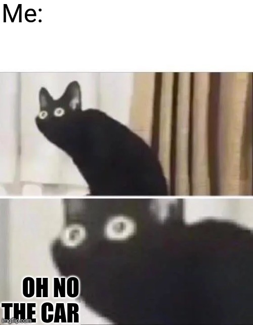 Oh No Black Cat | Me: OH NO THE CAR | image tagged in oh no black cat | made w/ Imgflip meme maker