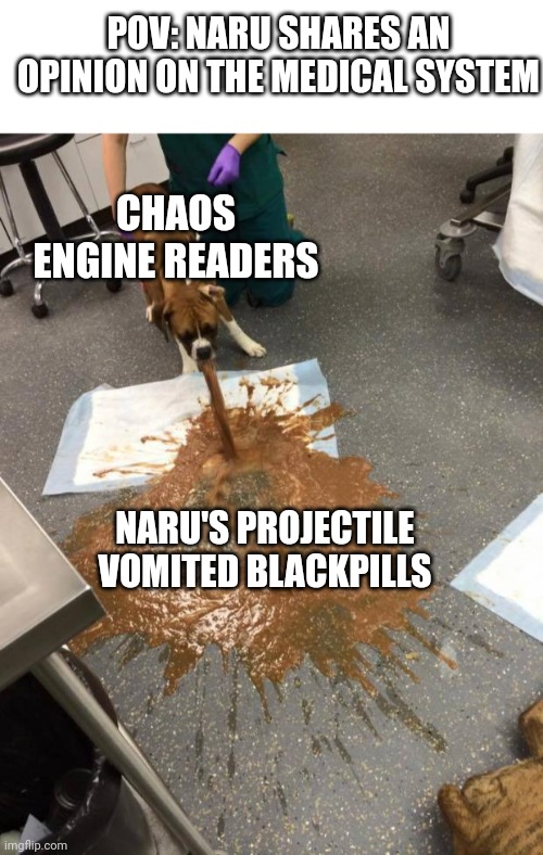 POV: NARU SHARES AN OPINION ON THE MEDICAL SYSTEM; CHAOS ENGINE READERS; NARU'S PROJECTILE VOMITED BLACKPILLS | image tagged in blank white template,dog vomit | made w/ Imgflip meme maker