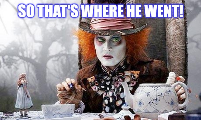 Mad Hatter  | SO THAT'S WHERE HE WENT! | image tagged in mad hatter | made w/ Imgflip meme maker