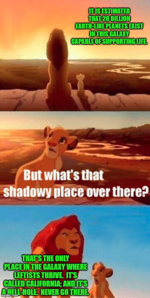 Puts things into perspective, doesn't it? | IT IS ESTIMATED THAT 20 BILLION EARTH-LIKE PLANETS EXIST IN THIS GALAXY CAPABLE OF SUPPORTING LIFE. THAT'S THE ONLY PLACE IN THE GALAXY WHERE LEFTISTS THRIVE.  IT'S CALLED CALIFORNIA; AND IT'S A HELL-HOLE.  NEVER GO THERE. | image tagged in simba shadowy place | made w/ Imgflip meme maker