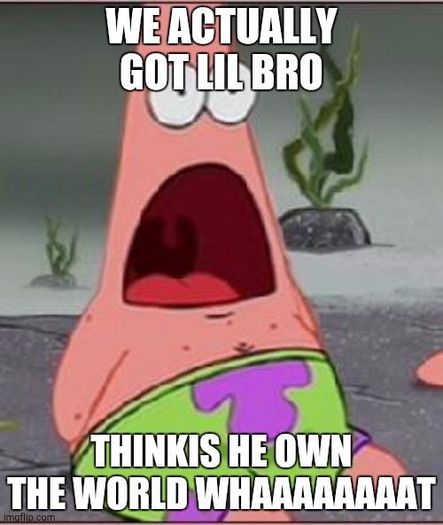 Omg | WE ACTUALLY GOT LIL BRO THINKIS HE OWN THE WORLD WHAAAAAAAAT | image tagged in omg | made w/ Imgflip meme maker