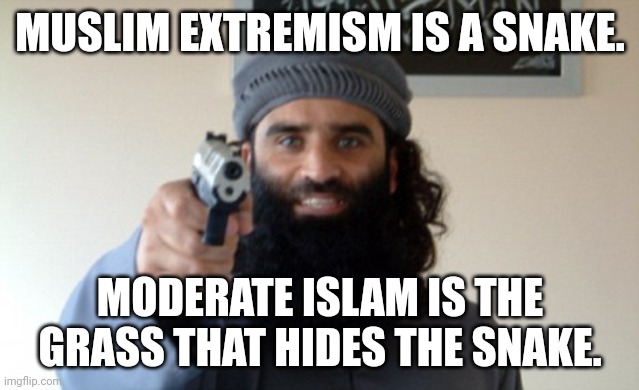 Any questions? | MUSLIM EXTREMISM IS A SNAKE. MODERATE ISLAM IS THE GRASS THAT HIDES THE SNAKE. | image tagged in islam terrorist | made w/ Imgflip meme maker