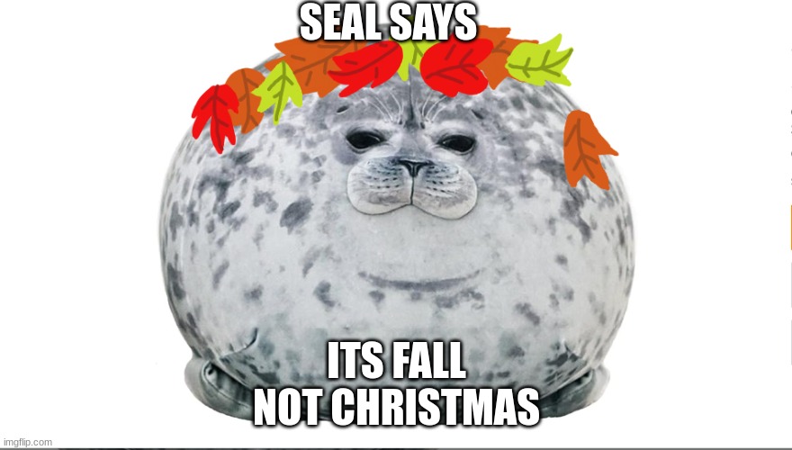 Seal says | SEAL SAYS; ITS FALL
NOT CHRISTMAS | image tagged in seal | made w/ Imgflip meme maker