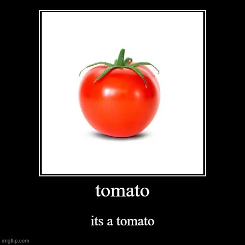 tomato | tomato | its a tomato | image tagged in funny,demotivationals | made w/ Imgflip demotivational maker