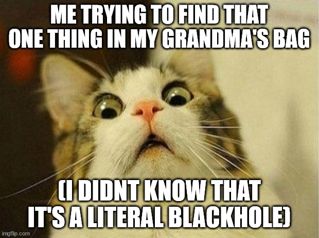 aaaa | ME TRYING TO FIND THAT ONE THING IN MY GRANDMA'S BAG; (I DIDNT KNOW THAT IT'S A LITERAL BLACKHOLE) | image tagged in memes,scared cat,space | made w/ Imgflip meme maker