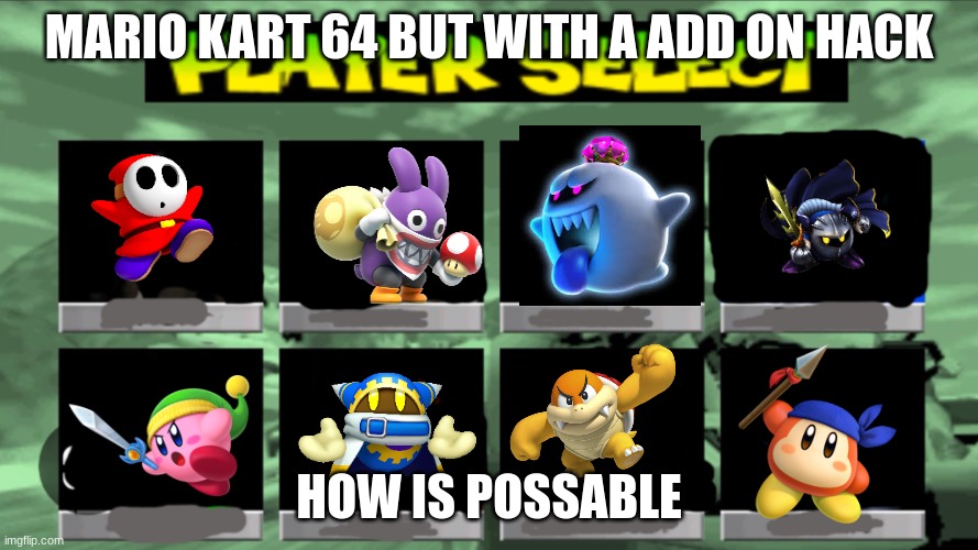 Charter roster | MARIO KART 64 BUT WITH A ADD ON HACK; HOW IS POSSABLE | image tagged in mario kart roster,nintendo switch | made w/ Imgflip meme maker