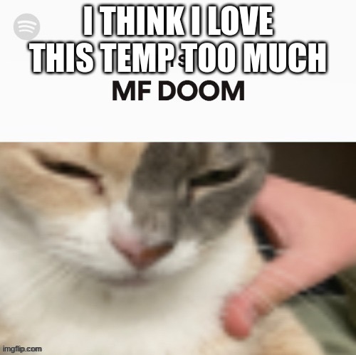 This is MF DOOM | I THINK I LOVE THIS TEMP TOO MUCH | image tagged in this is mf doom | made w/ Imgflip meme maker
