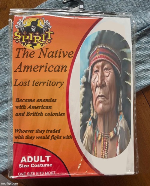 The Native Americans during the war: | The Native American; Lost territory; Became enemies with American and British colonies; Whoever they traded with they would fight with | image tagged in spirit halloween | made w/ Imgflip meme maker
