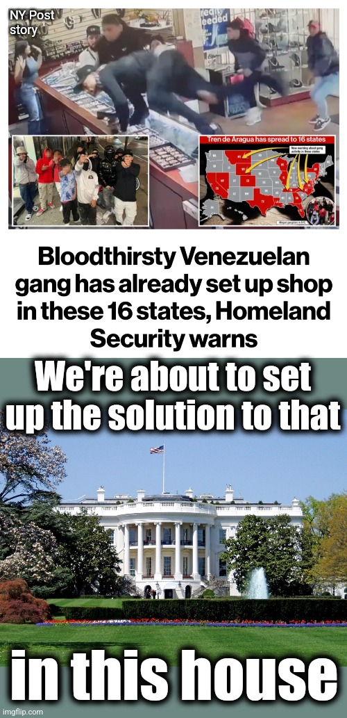 Still think deportations won't be necessary?! | NY Post
story; We're about to set up the solution to that; in this house | image tagged in white house,tren de aragua,gang,memes,deportations,crime | made w/ Imgflip meme maker