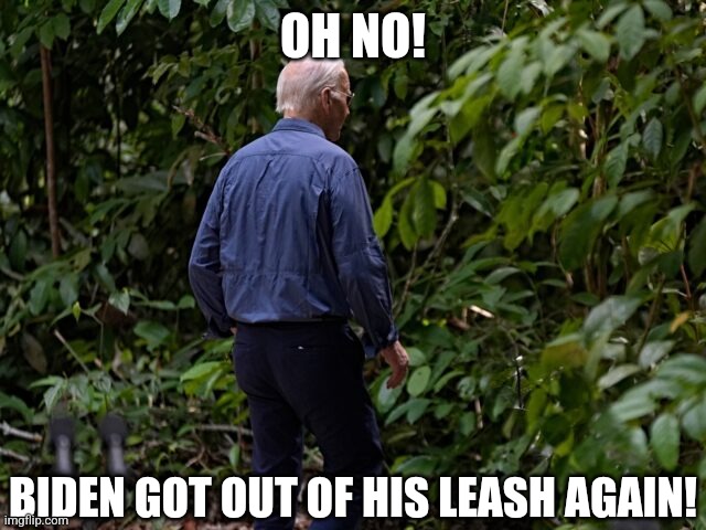 The party that insisted Harris was competent also insisted Biden was too. Fool me once right? | OH NO! BIDEN GOT OUT OF HIS LEASH AGAIN! | image tagged in joe biden,leash,lost in the woods,stupid liberals,crying democrats,how did this happen | made w/ Imgflip meme maker