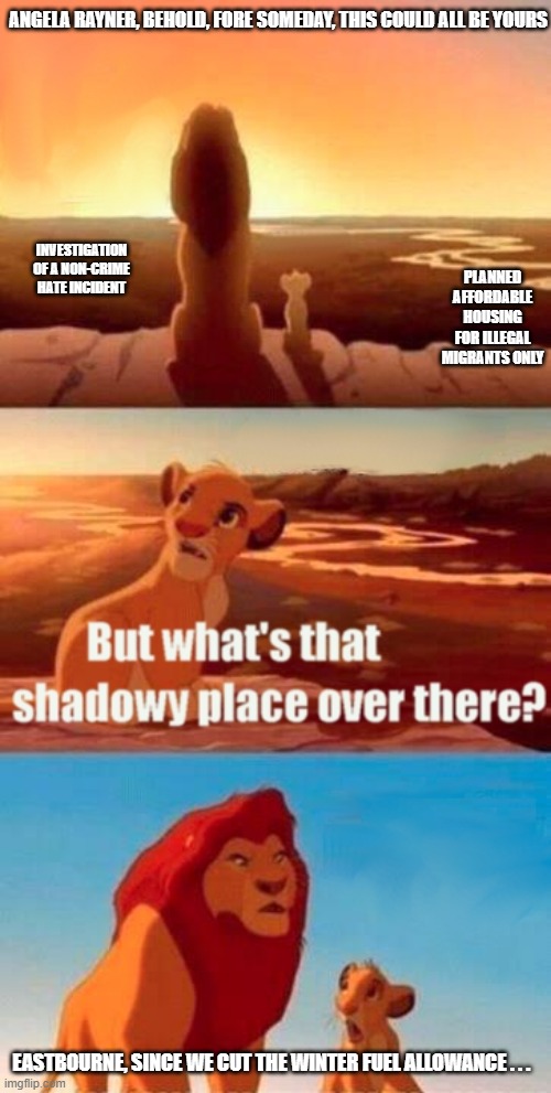 Ditch First Past the Post? | ANGELA RAYNER, BEHOLD, FORE SOMEDAY, THIS COULD ALL BE YOURS; INVESTIGATION OF A NON-CRIME HATE INCIDENT; PLANNED AFFORDABLE HOUSING FOR ILLEGAL MIGRANTS ONLY; EASTBOURNE, SINCE WE CUT THE WINTER FUEL ALLOWANCE . . . | image tagged in simba shadowy place,sir keir starmer,angela rayner,uk,keir starmer,labour | made w/ Imgflip meme maker