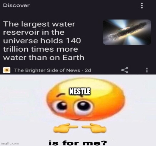 That Evil Company | NESTLE | image tagged in blank white template | made w/ Imgflip meme maker