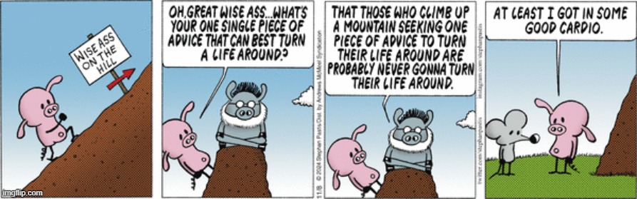 Pearls Before Swine | image tagged in comics | made w/ Imgflip meme maker