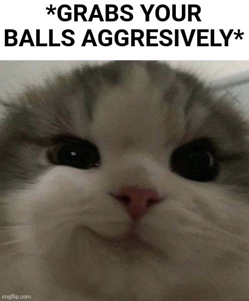 Smirky cat | *GRABS YOUR BALLS AGGRESIVELY* | image tagged in smirky cat | made w/ Imgflip meme maker