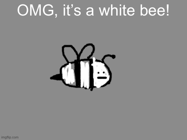 White Bee | OMG, it’s a white bee! | made w/ Imgflip meme maker