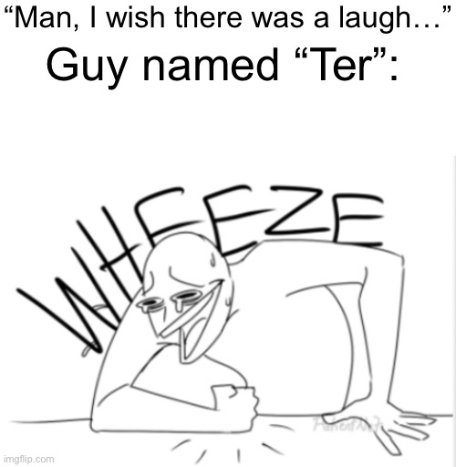 Yes | “Man, I wish there was a laugh…”; Guy named “Ter”: | image tagged in blank white template,wheeze | made w/ Imgflip meme maker