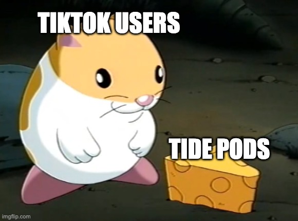 plz make this temp popular! | TIKTOK USERS; TIDE PODS | image tagged in goofy ahh hampter with cheez,memes,funny,tiktok,tiktok sucks,oh wow are you actually reading these tags | made w/ Imgflip meme maker