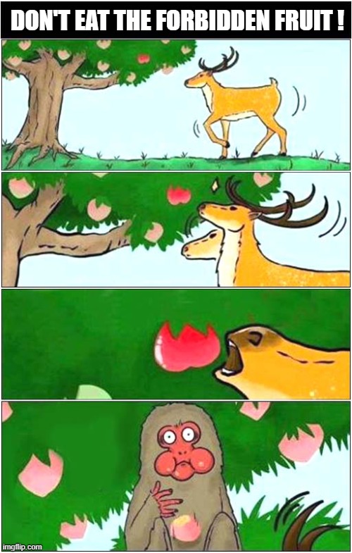 A Deer Receives A Command ! | DON'T EAT THE FORBIDDEN FRUIT ! | image tagged in deer,monkey,forbidden,fruit,dark humour | made w/ Imgflip meme maker