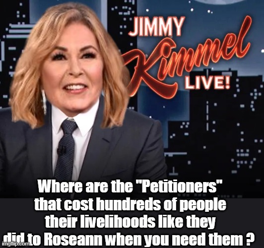 And all she did was make an obvious observation ONE TIME | Where are the "Petitioners" that cost hundreds of people their livelihoods like they did to Roseann when you need them ? | image tagged in kimmell roseann meme | made w/ Imgflip meme maker