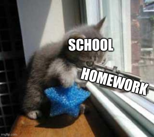 CatSniper | SCHOOL; HOMEWORK | image tagged in catsniper,school,homework | made w/ Imgflip meme maker