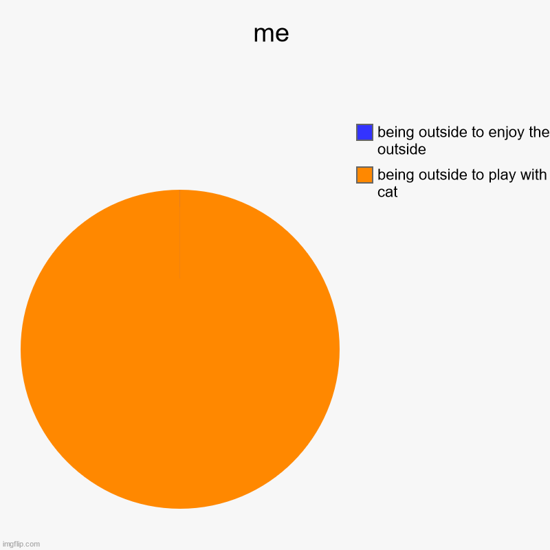 cat | me | being outside to play with cat, being outside to enjoy the outside | image tagged in charts,pie charts | made w/ Imgflip chart maker