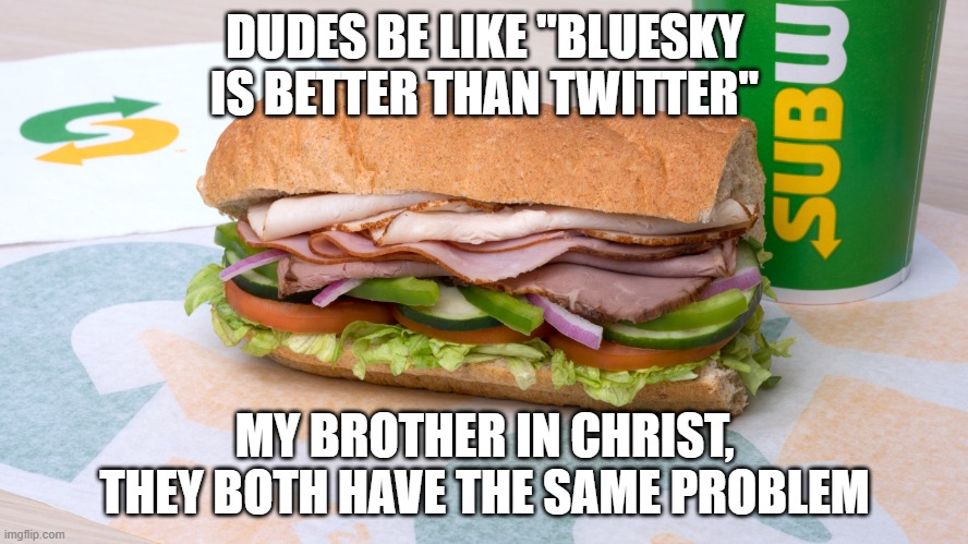 it's the hard truth with all twitter-like social media and people just can't accept it | DUDES BE LIKE "BLUESKY IS BETTER THAN TWITTER"; MY BROTHER IN CHRIST, THEY BOTH HAVE THE SAME PROBLEM | image tagged in subway sucks | made w/ Imgflip meme maker