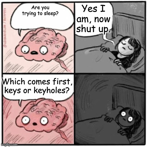 It came to me while I was trying to sleep | Yes I am, now shut up. Are you trying to sleep? Which comes first, keys or keyholes? | image tagged in brain before sleep | made w/ Imgflip meme maker