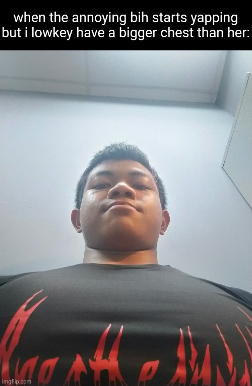 bulk got my face round | when the annoying bih starts yapping but i lowkey have a bigger chest than her: | made w/ Imgflip meme maker