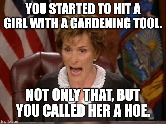 Does anyone get it? | YOU STARTED TO HIT A GIRL WITH A GARDENING TOOL. NOT ONLY THAT, BUT YOU CALLED HER A HOE. | image tagged in judge judy,memes,funny,why are you reading this | made w/ Imgflip meme maker