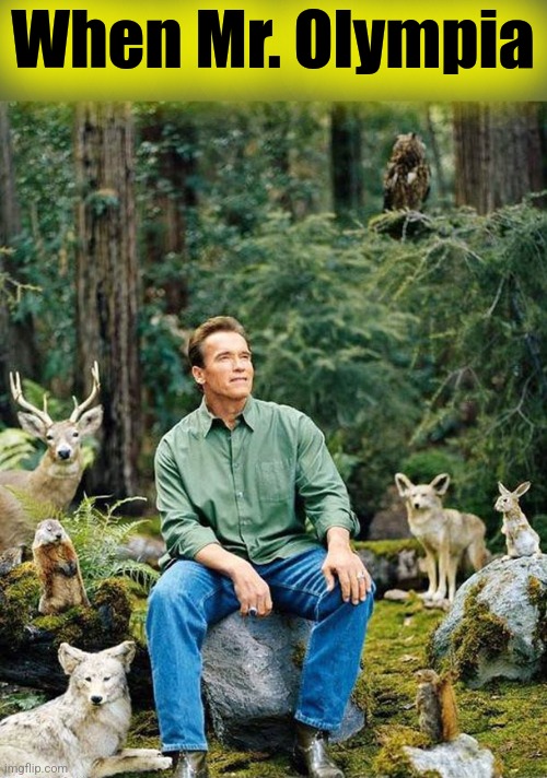 Arnold nature | When Mr. Olympia | image tagged in arnold nature | made w/ Imgflip meme maker