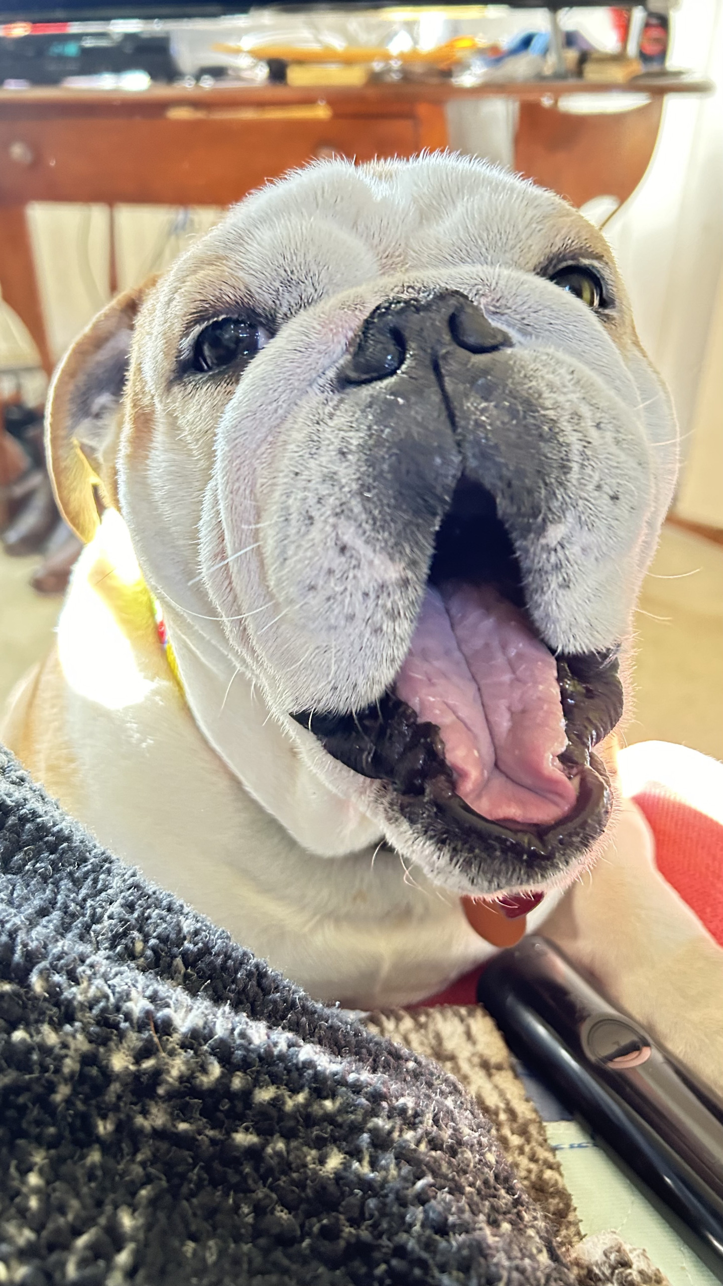 High Quality Guapo Blank Meme Template