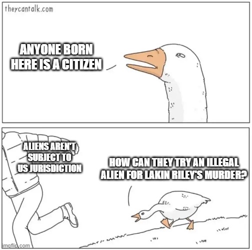 Goose chasing meme from original | ANYONE BORN HERE IS A CITIZEN; ALIENS AREN'T SUBJECT TO US JURISDICTION; HOW CAN THEY TRY AN ILLEGAL ALIEN FOR LAKIN RILEY'S MURDER? | image tagged in goose chasing meme from original | made w/ Imgflip meme maker