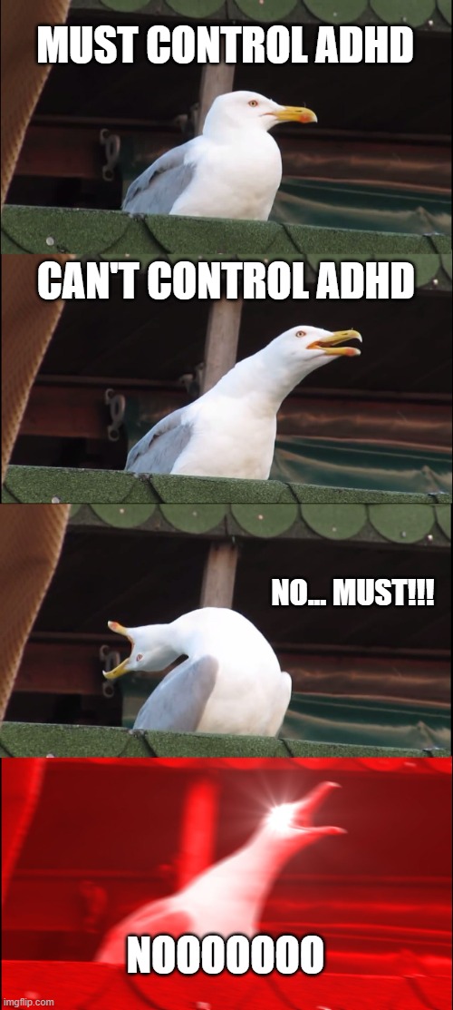 Inhaling Seagull | MUST CONTROL ADHD; CAN'T CONTROL ADHD; NO... MUST!!! NOOOOOOO | image tagged in memes,inhaling seagull | made w/ Imgflip meme maker