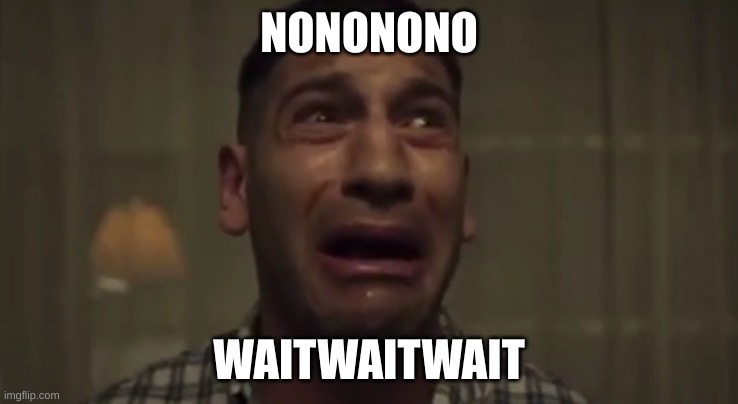 NONONOWAITWAITWAIT | NONONONO WAITWAITWAIT | image tagged in nononowaitwaitwait | made w/ Imgflip meme maker