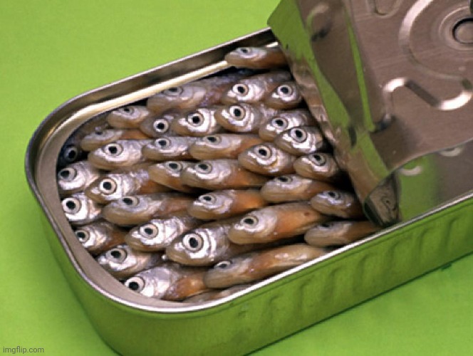 Sardines | image tagged in sardines | made w/ Imgflip meme maker