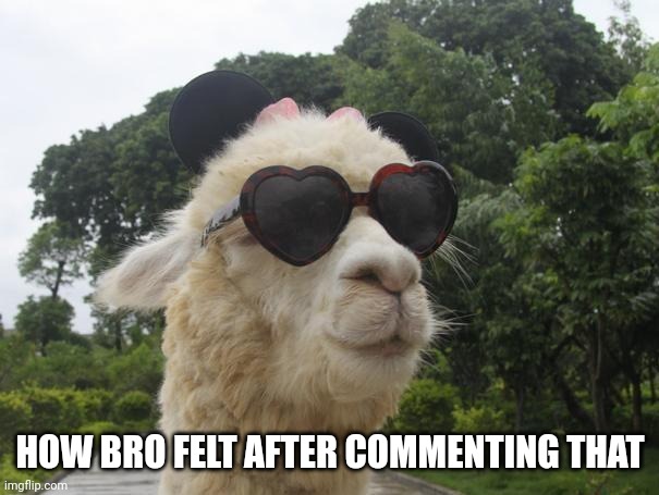 cool llama | HOW BRO FELT AFTER COMMENTING THAT | image tagged in cool llama | made w/ Imgflip meme maker