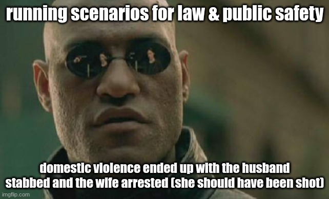 (I was dispatch) | running scenarios for law & public safety; domestic violence ended up with the husband stabbed and the wife arrested (she should have been shot) | image tagged in memes,matrix morpheus | made w/ Imgflip meme maker