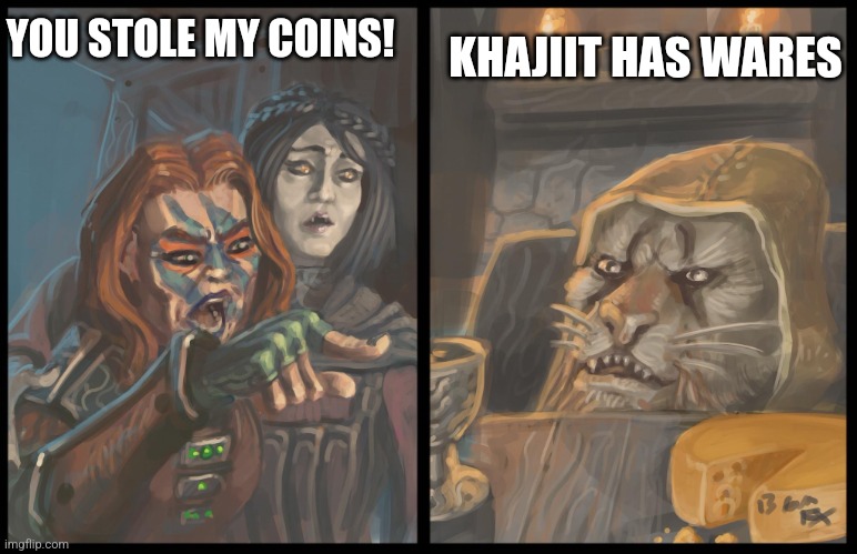 YOU STOLE MY COINS! KHAJIIT HAS WARES | image tagged in oblivion and skyrim woman yelling | made w/ Imgflip meme maker