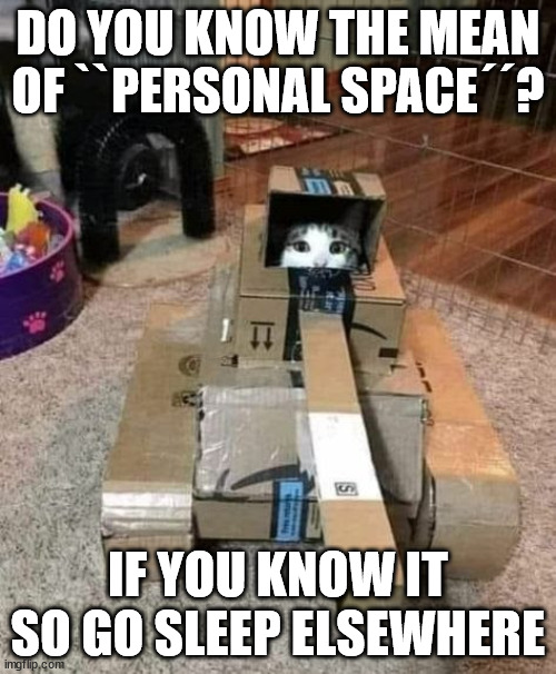 DO YOU KNOW THE MEAN OF ``PERSONAL SPACE´´? IF YOU KNOW IT SO GO SLEEP ELSEWHERE | image tagged in cat,tank,personal,rejected | made w/ Imgflip meme maker