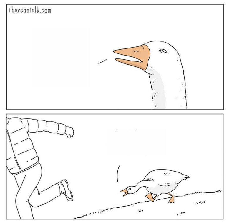 goose chasing Blank Meme Template