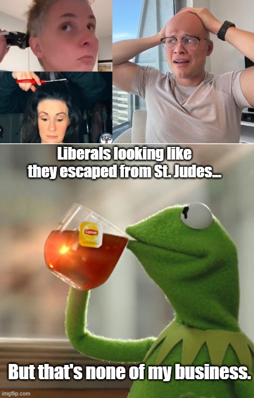 Liberals looking like they escaped from St. Judes... But that's none of my business. | image tagged in memes,but that's none of my business | made w/ Imgflip meme maker