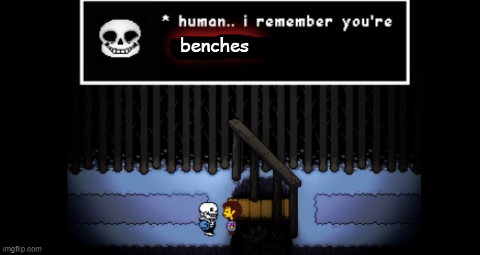 Human i remember your X | benches | image tagged in human i remember your x | made w/ Imgflip meme maker