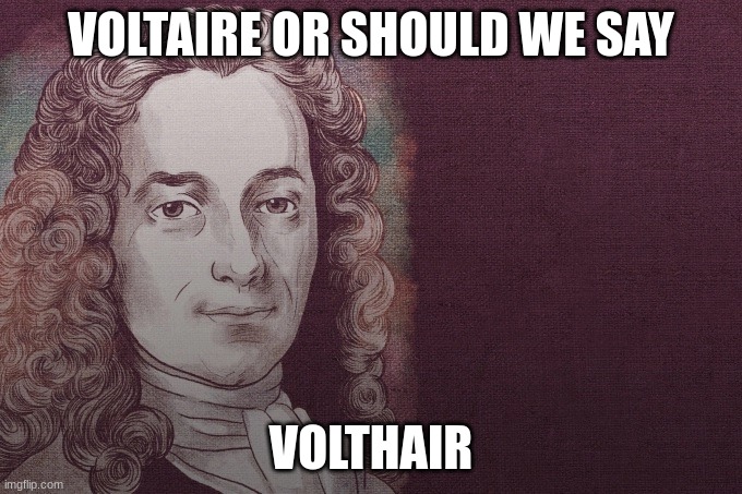 Voltaire | VOLTAIRE OR SHOULD WE SAY; VOLTHAIR | image tagged in voltaire | made w/ Imgflip meme maker