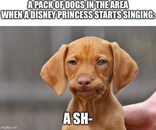 Dissapointed puppy | A PACK OF DOGS IN THE AREA WHEN A DISNEY PRINCESS STARTS SINGING: A SH- | image tagged in dissapointed puppy | made w/ Imgflip meme maker