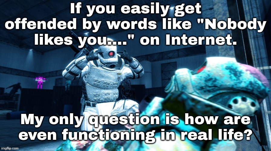 Are you plain 'Introverted' boy or are you just insignificant? | If you easily get offended by words like "Nobody likes you...." on Internet. My only question is how are even functioning in real life? | made w/ Imgflip meme maker