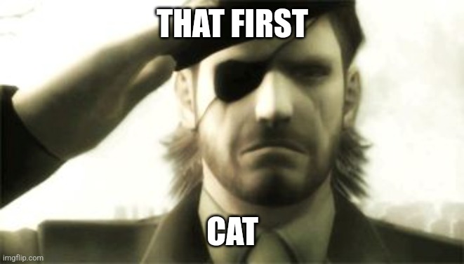 Big Boss Salute | THAT FIRST CAT | image tagged in big boss salute | made w/ Imgflip meme maker